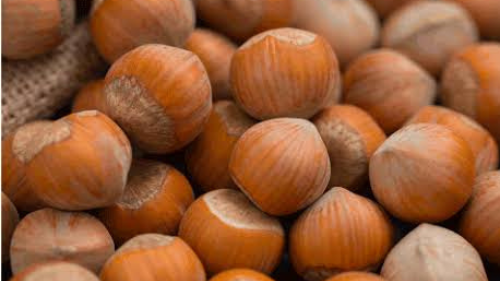 Giresun kabuklu findik 1 kg